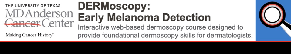 DERM: Early Melanoma Detection/Diagnosis Banner